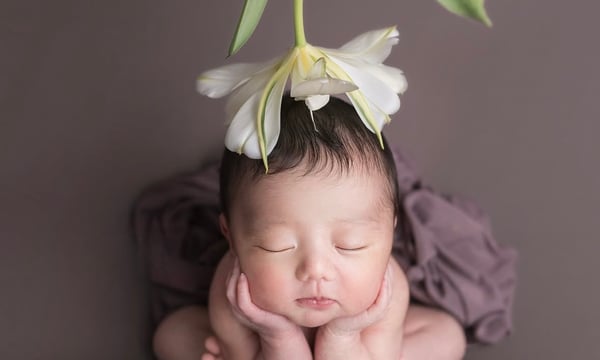 ニューボーンフォト/アニバーサリーフォトのセレクトショップ Shhh.