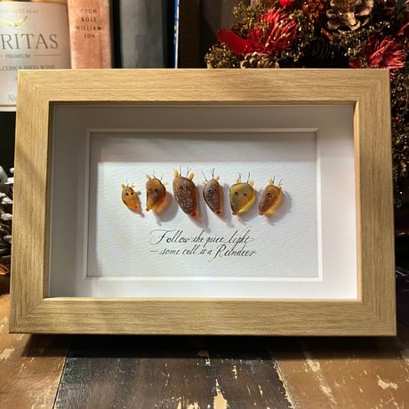 シーグラスアート | STORES