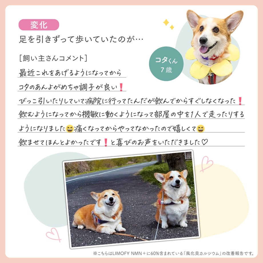 672d780a2ead3707b244ed21
