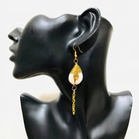 ハンドメイド　シェル　Brass　貝　ピアス　Cowrie Shell Earring