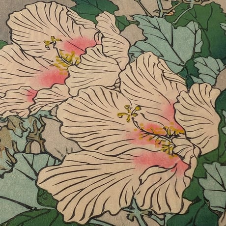 楳嶺 「楳嶺花鳥画譜　木芙蓉　鴫」