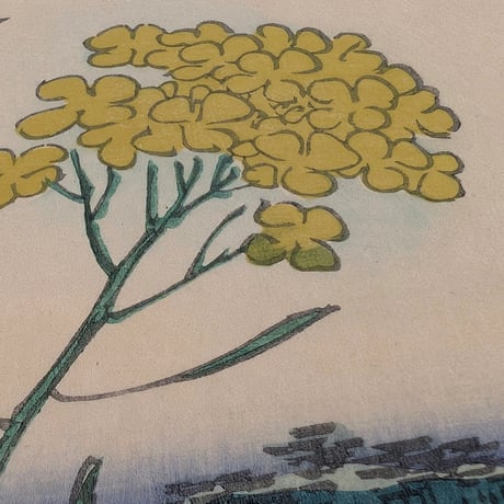 広重二代(立祥) 「東京名所三十六花撰　東京小松川菜の花」