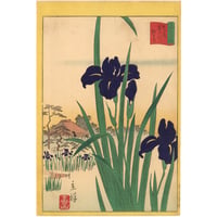 広重二代(立祥) 「東京名所三十六花撰　東都木下川杜若」