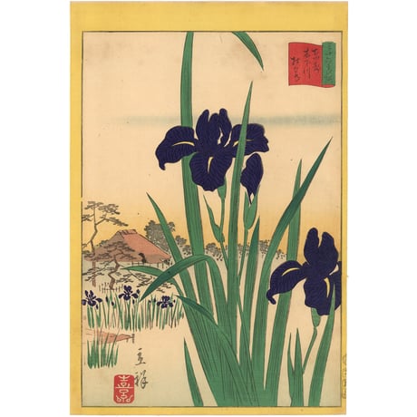 広重二代(立祥) 「東京名所三十六花撰　東都木下川杜若」