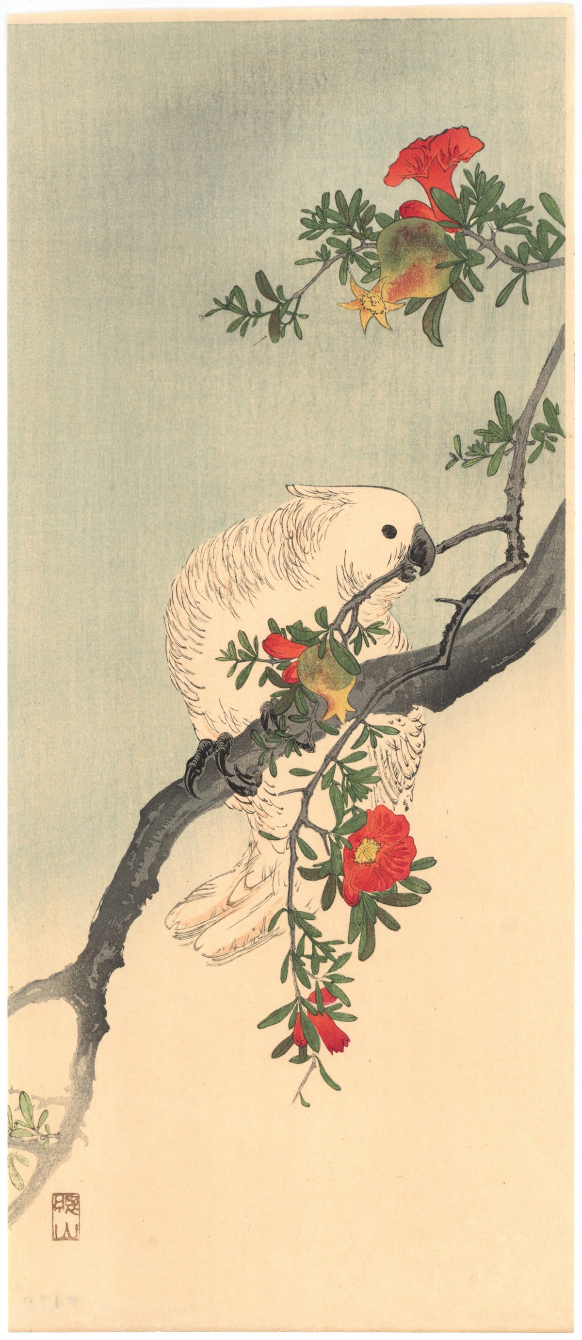 fit=scale-down,w=1200