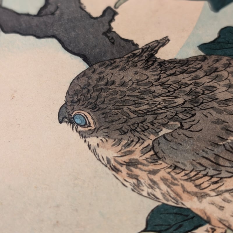 楳嶺 「楳嶺花鳥画譜 木犀花 鴟鵂(ミミズク)」 | 古美術もりみや 楳嶺 「楳嶺花鳥画譜 木犀花 鴟鵂(ミミズク)」 | 古美術もりみや