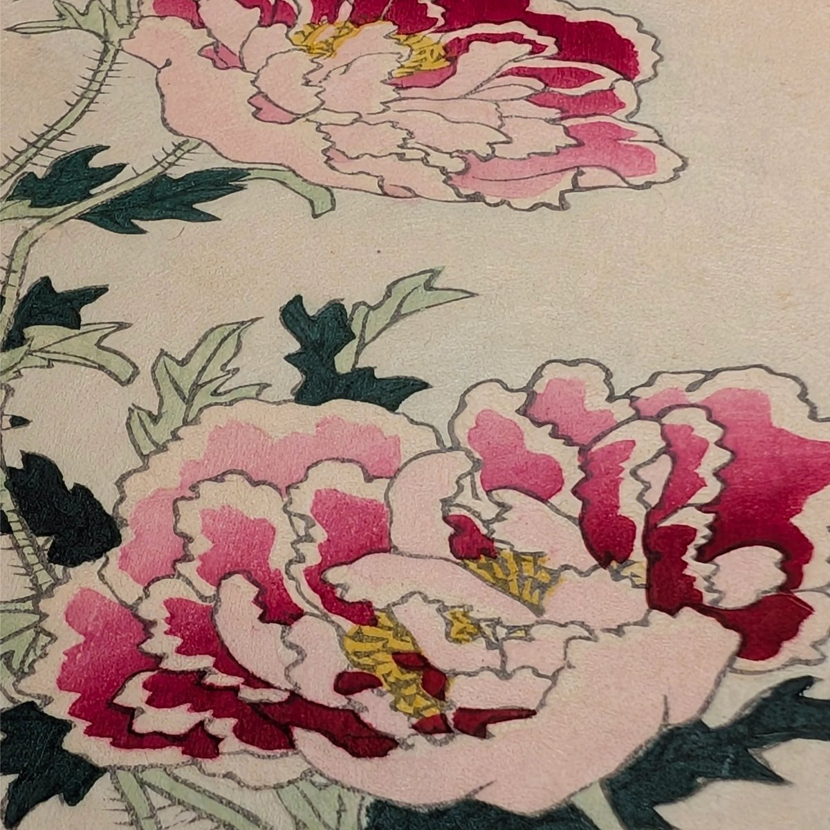 楳嶺 「楳嶺花鳥画譜 麗春花 鳩」 | 古美術もりみや