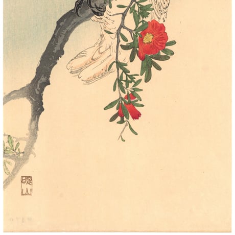 伊藤総山  (石榴に鸚鵡)