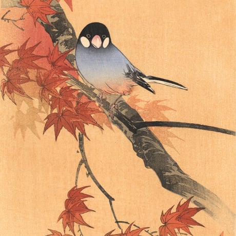 伊藤総山  (紅葉に小禽)