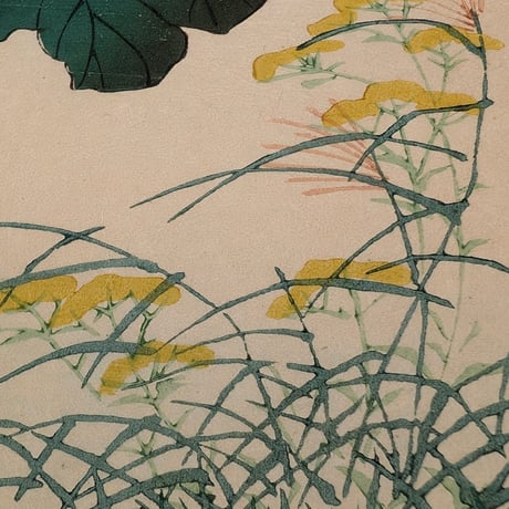 楳嶺 「楳嶺花鳥画譜　葛　鶉」