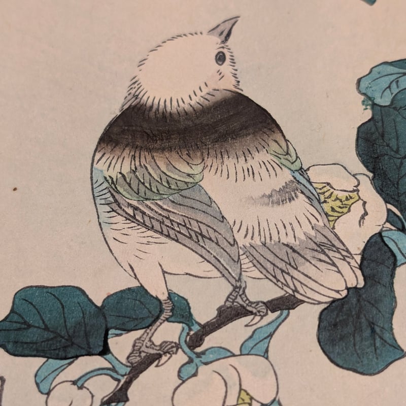 楳嶺 「楳嶺花鳥画譜 茶 鷦鷯」 | 古美術もりみや