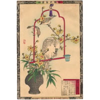 楳嶺 「楳嶺花鳥画譜　蠟梅　鸚鵡」