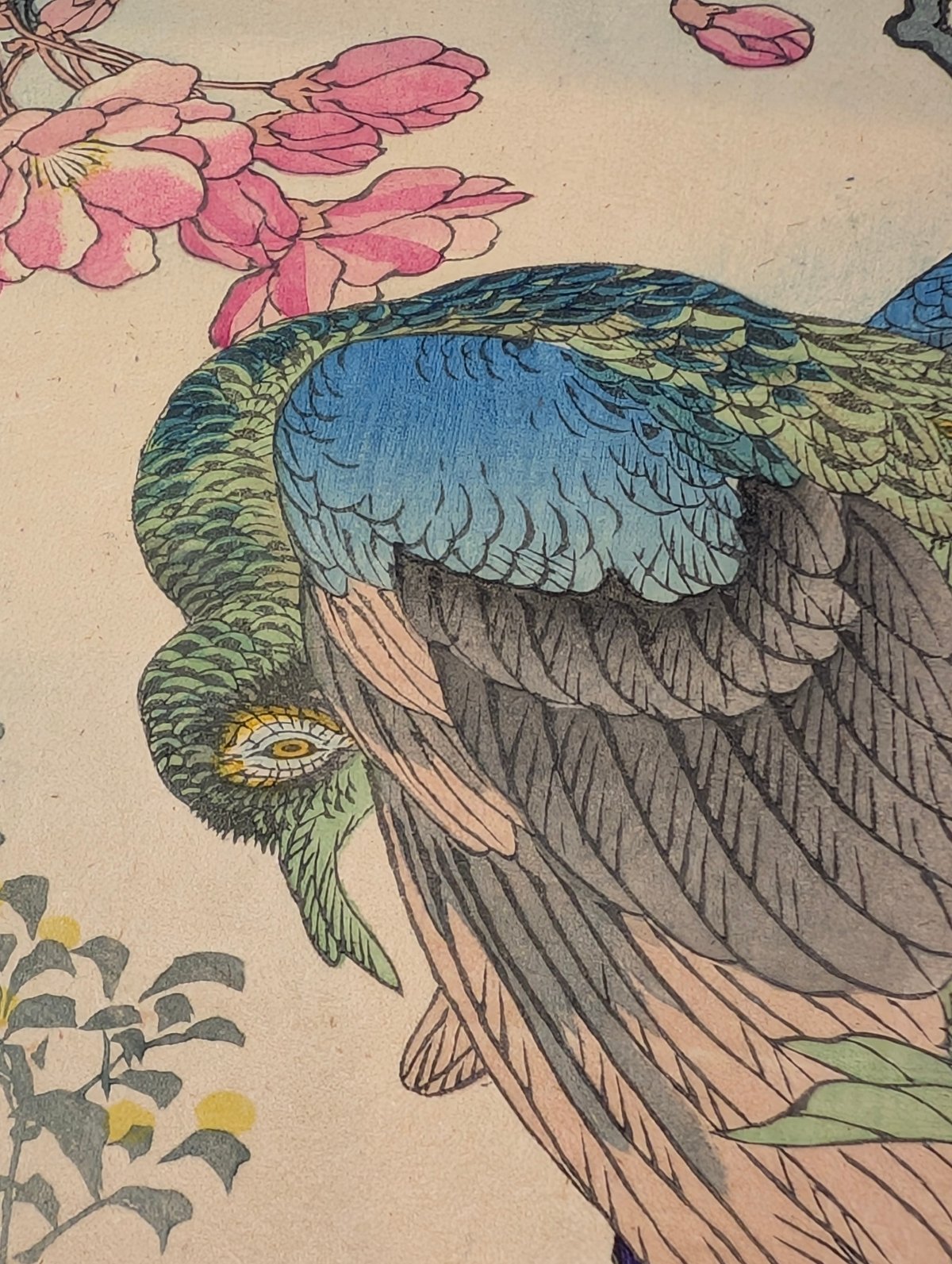楳嶺 「楳嶺花鳥画譜 海棠 孔雀」 | 古美術もりみや