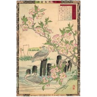 花鳥画譜　天・地　沼田荷舟　【書込みあり】 沼田荷舟 白鷹図 | 古美術もりみや