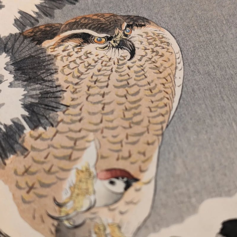 小原古邨 (雪松に大鷹と温め鳥) | 古美術もりみや