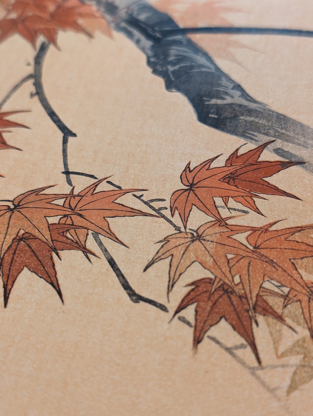 fit=scale-down,w=1200