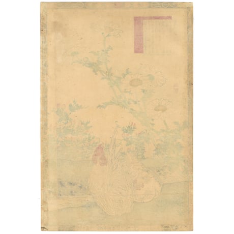 楳嶺 「楳嶺花鳥画譜　春菊　矮鶏」