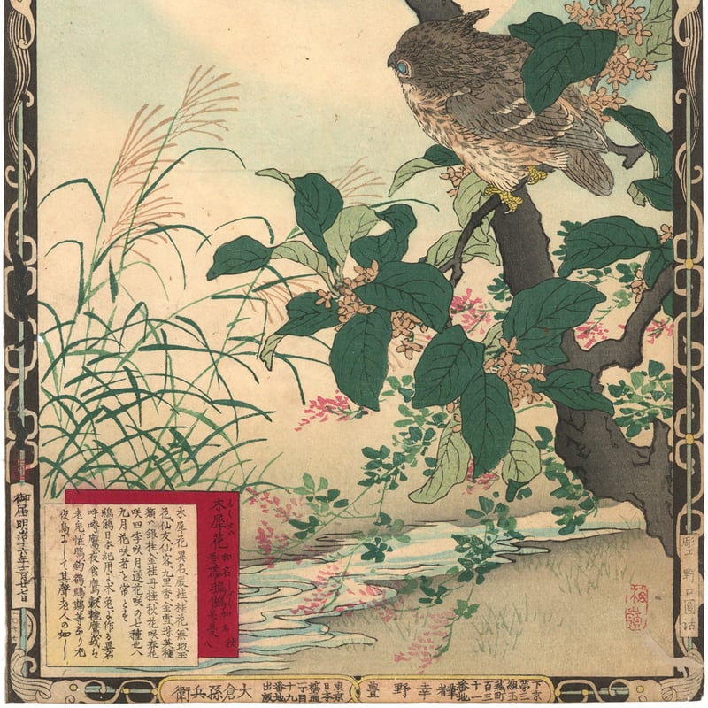 楳嶺 「楳嶺花鳥画譜 木犀花 鴟鵂(ミミズク)」 | 古美術もりみや 楳嶺 「楳嶺花鳥画譜 木犀花 鴟鵂(ミミズク)」 | 古美術もりみや