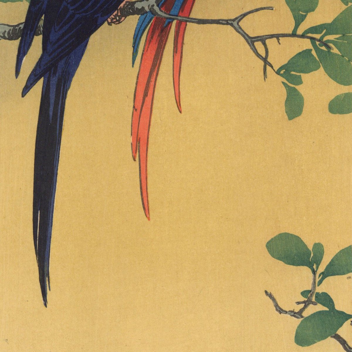 伊藤 廉『二羽の鳥』パステル画 絵画 伊藤総山 「二羽のインコ」 | 古美術もりみや