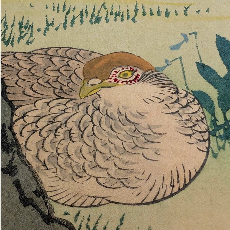 楳嶺 「楳嶺花鳥画譜 桃 雉子」 | 古美術もりみや