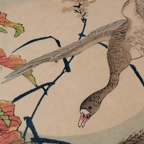 楳嶺 「楳嶺花鳥画譜　雁来紅　雁」