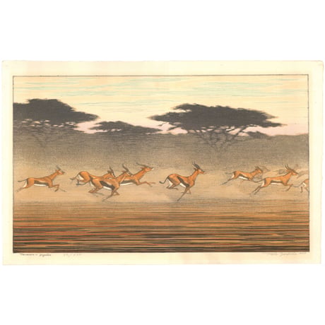 吉田遠志 「Thomson's gazelles」