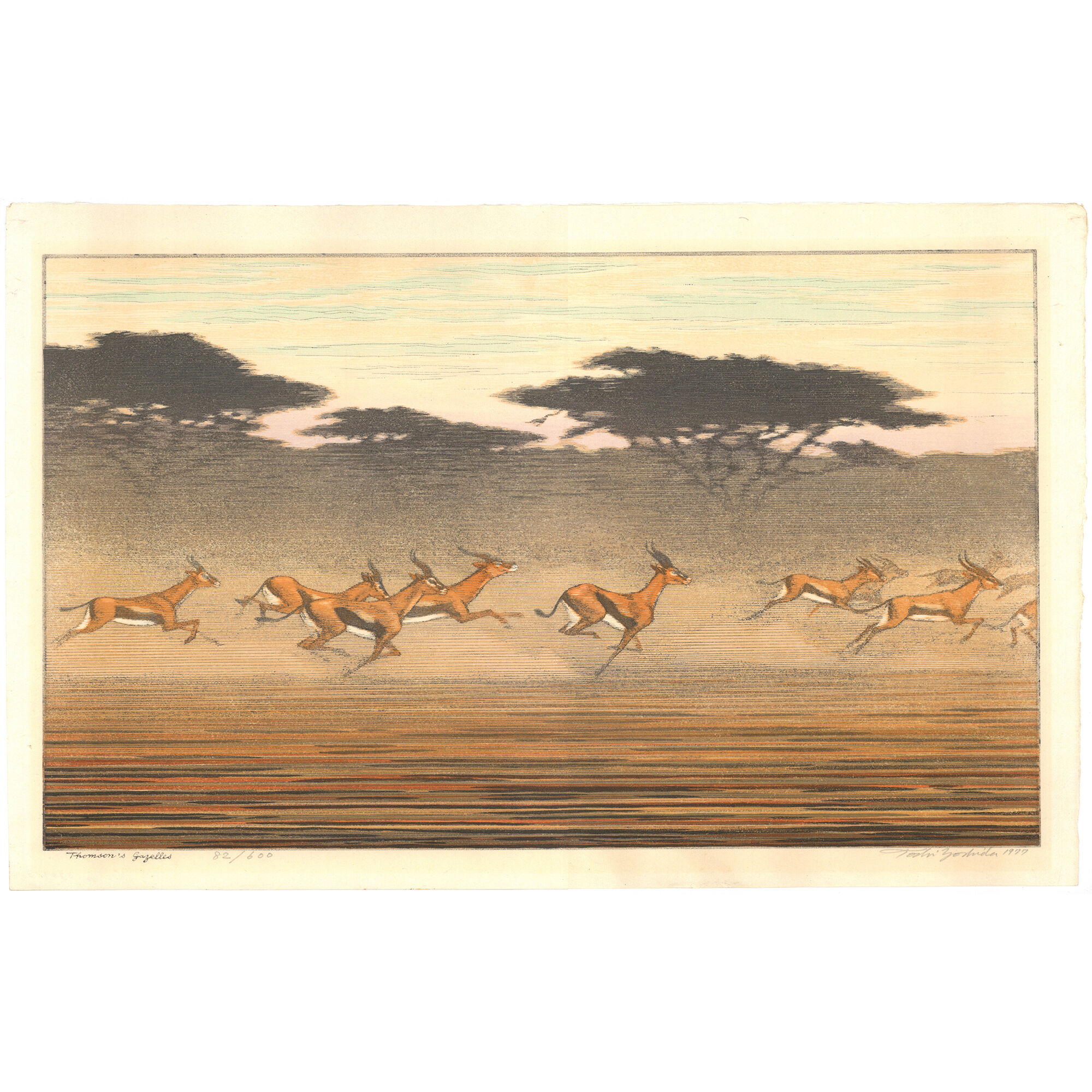 吉田遠志 「Thomson's gazelles」 | 古美術もりみや