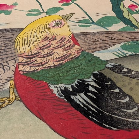 楳嶺 「楳嶺花鳥画譜　黄蜀葵　錦鶏」