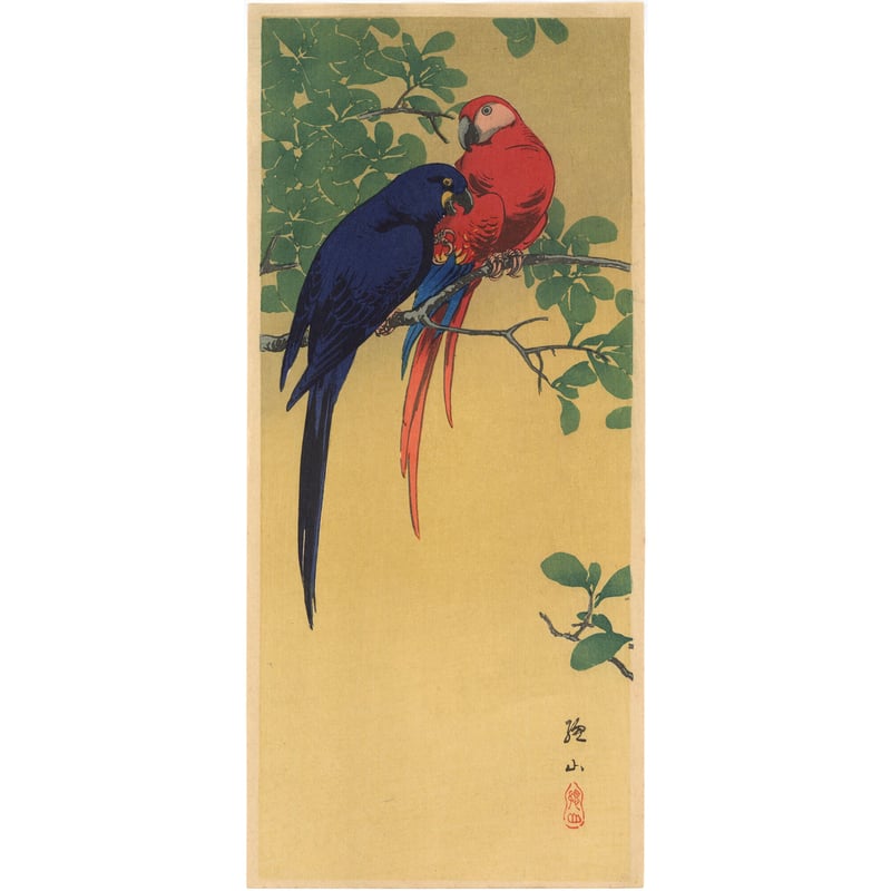 コンゴウインコ　絵画 オウム絵画赤コンゴウインコ鳥水彩アートワークオリジナル壁アート装飾