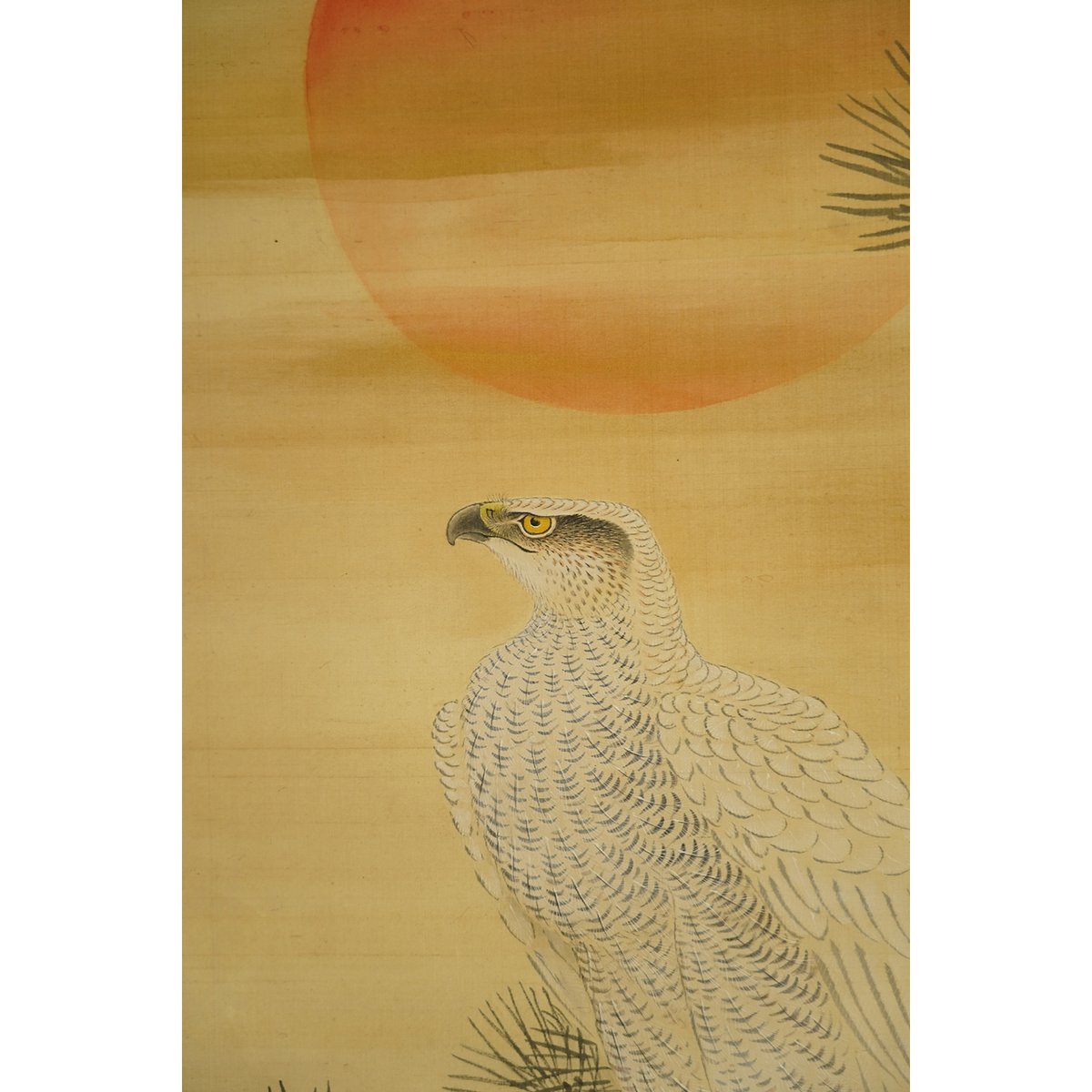 花鳥画譜　天・地　沼田荷舟　【書込みあり】 花鳥画譜 天・地 沼田荷舟 【書込みあり】 花鳥画譜(沼田荷舟) /