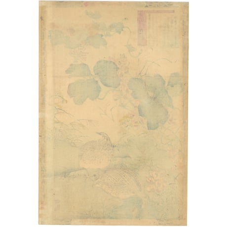 楳嶺 「楳嶺花鳥画譜　葛　鶉」