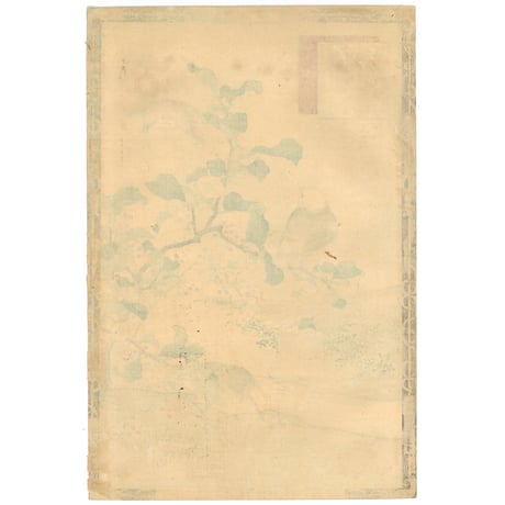 楳嶺 「楳嶺花鳥画譜　茶　鷦鷯」