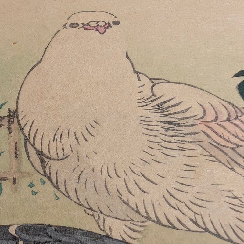 楳嶺 「楳嶺花鳥画譜 麗春花 鳩」 | 古美術もりみや
