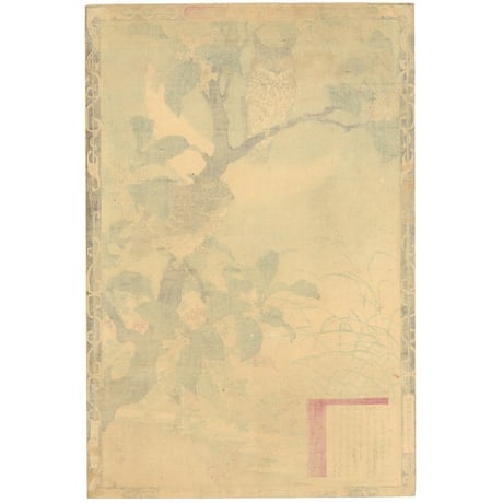 楳嶺 「楳嶺花鳥画譜　木犀花　ミミズク」