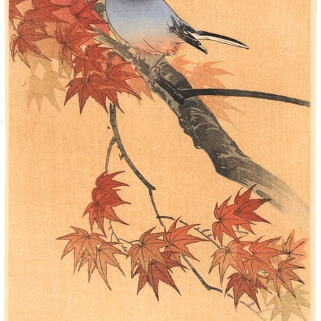 伊藤総山  (紅葉に小禽)