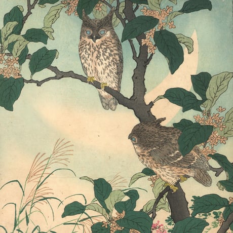 楳嶺 「楳嶺花鳥画譜　木犀花　鴟鵂(ミミズク)」