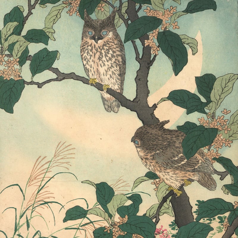楳嶺 「楳嶺花鳥画譜 木犀花 鴟鵂(ミミズク)」 | 古美術もりみや 楳嶺 「楳嶺花鳥画譜 木犀花 鴟鵂(ミミズク)」 | 古美術もりみや