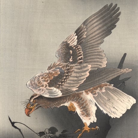 小原古邨 (小鳥を狙う大鷲)