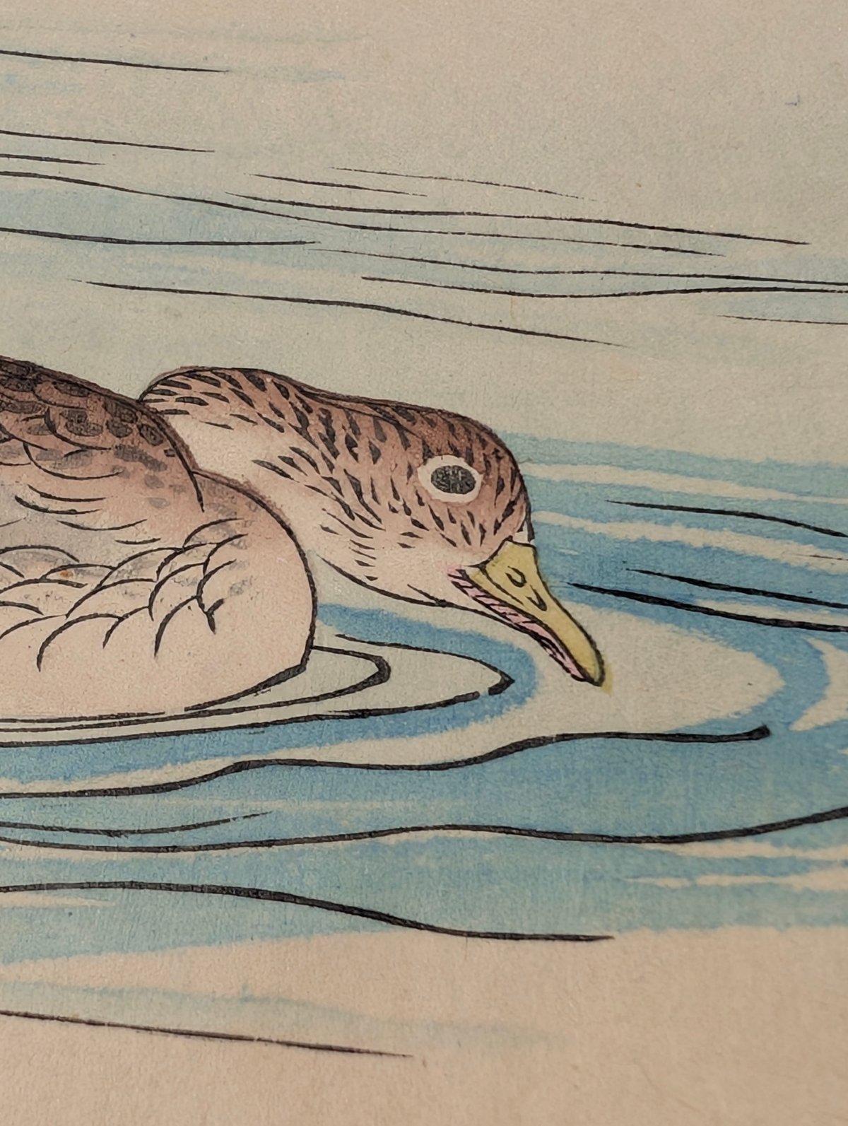 楳嶺 「楳嶺花鳥画譜 海石榴 鴨」 | 古美術もりみや