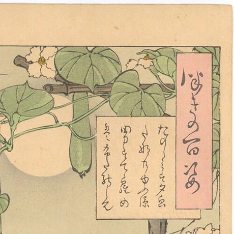 芳年 「月百姿　たのしみは夕顔だなのゆふ涼　男はててら女はふたのして」