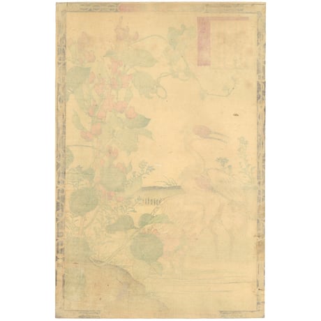 楳嶺 「楳嶺花鳥画譜　アジ豆　朱鷺」
