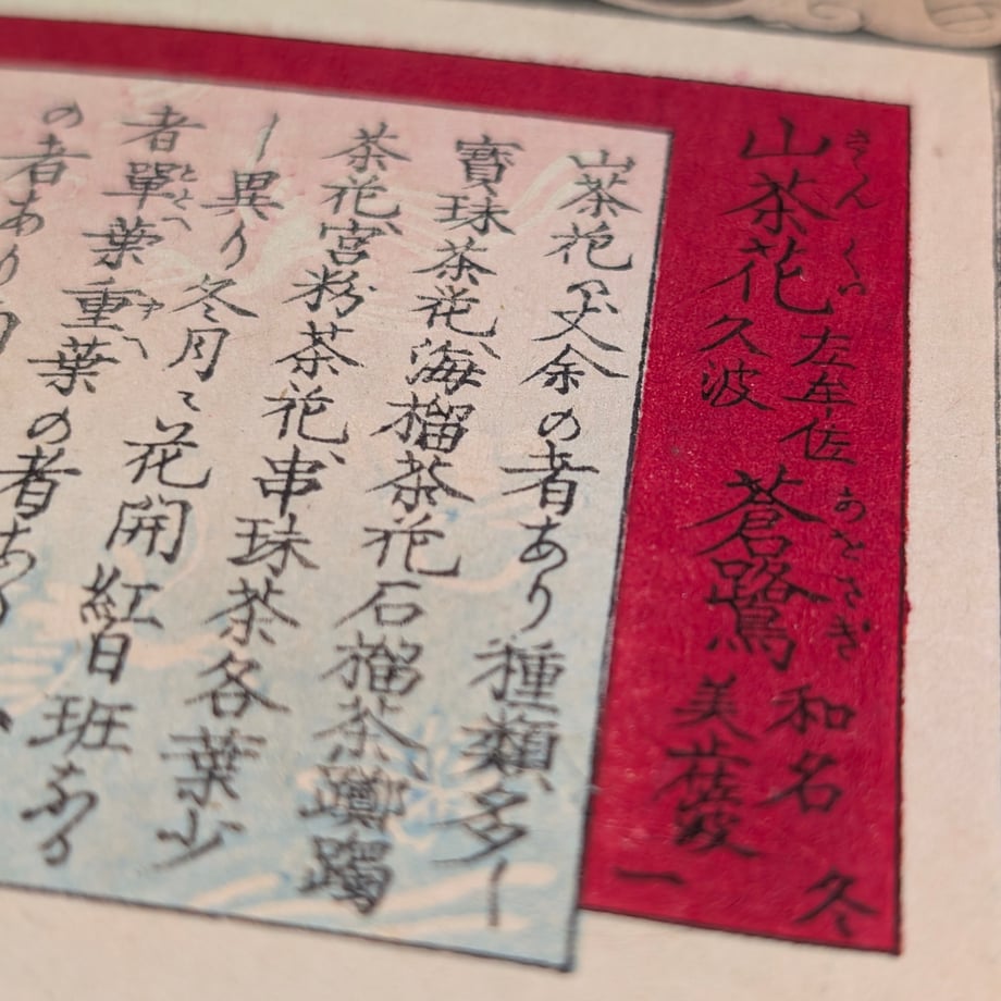 69686ce8b37ea4161cd6e80d