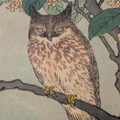楳嶺 「楳嶺花鳥画譜　木犀花　ミミズク」