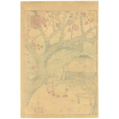 広重二代(立祥) 「東京名所三十六花撰　東京大森山本紅梅」