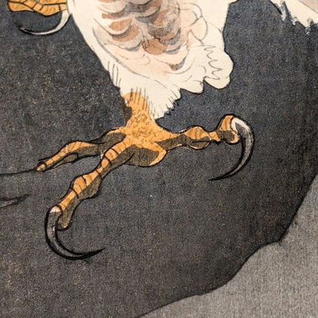 小原古邨 (小鳥を狙う大鷲)