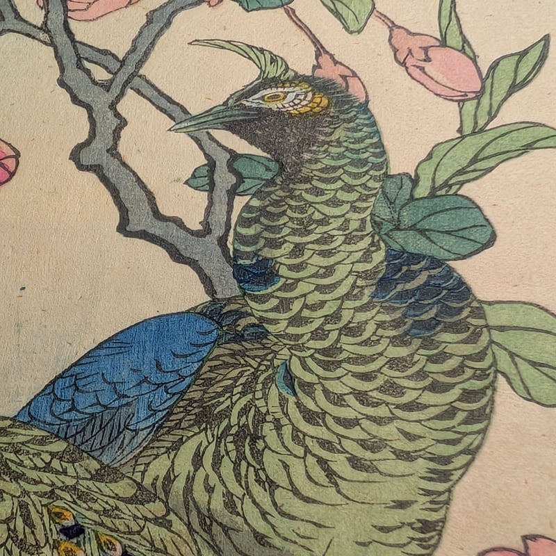 孔雀図 掛軸 168×70cm 花鳥画 孔雀図 掛軸 168×70cm 花鳥画 【公式通販】
