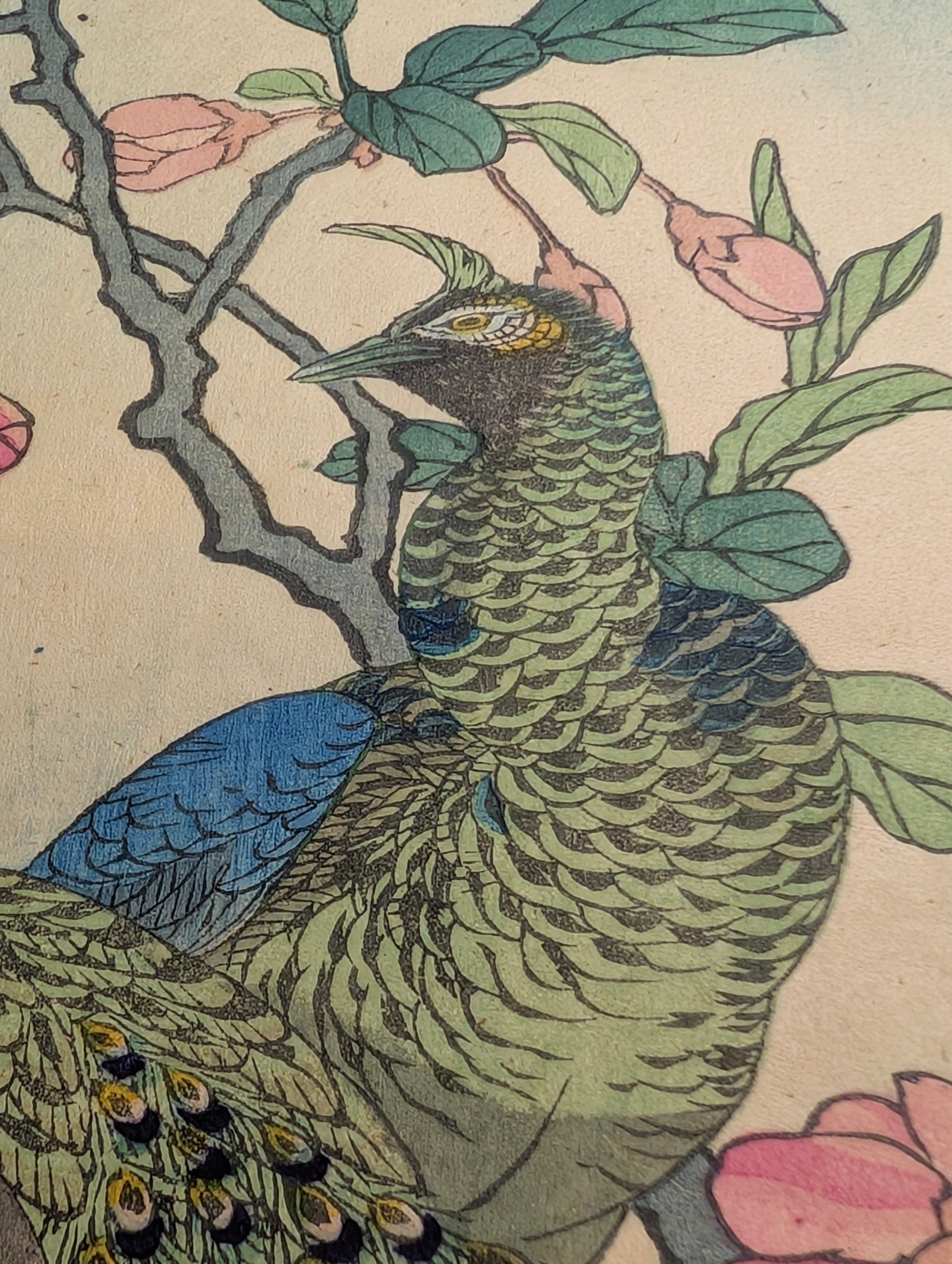 楳嶺 「楳嶺花鳥画譜 海棠 孔雀」 | 古美術もりみや