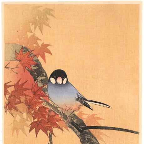 伊藤総山  (紅葉に小禽)