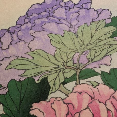 楳嶺 「楳嶺花鳥画譜　牡丹　白鷴」