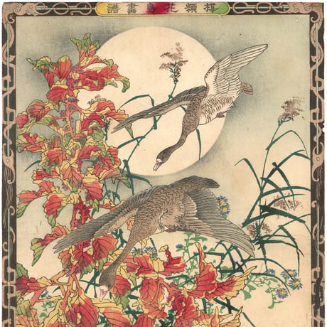 楳嶺 「楳嶺花鳥画譜　雁来紅　雁」